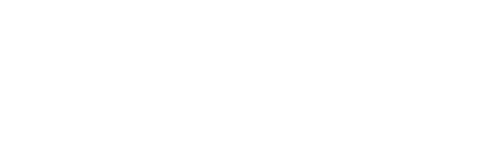 Global Risk Institute